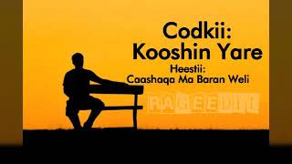 Kooshin Yare  Caashaqa Ma Baran Weli Lyrics [upl. by Franciskus]