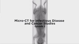 MicroCT for Infectious Disease and Cancer Studies Episode 2 Preclinical Imaging [upl. by Fregger869]