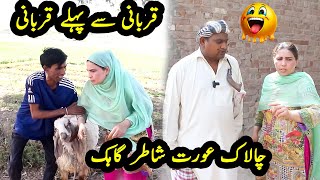 Bakra Eid Funny Video  Husna Butt  Tarak Abbas  Bakra Eid  Funny Video  Fun Masti [upl. by Lamori]