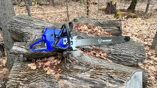 Running the Holzfforma G660 Cutting fire wood Quick chainsaw video [upl. by Armillia]