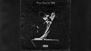 Trey Soulja  Loving Your Vibe Pt 2 Audio [upl. by Cherye]