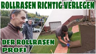 Richtig Rollrasen verlegen  So leicht gehts 🌱Anleitung  Garten Neugestaltung [upl. by Maryly]