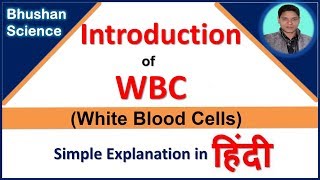 WBC White Blood Cells Introduction in Hindi  Bhushan Science [upl. by Eannyl]