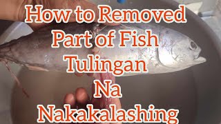 How To Removed Part of Fish Tulingan Poisonous [upl. by Assirrem]