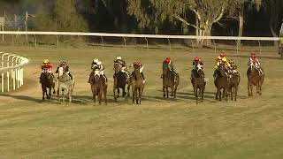 2024 Narrandera Showcase Cup [upl. by Susie]