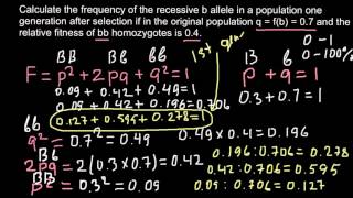 How to calculate allele frequency in the F2 generation [upl. by Yelik]