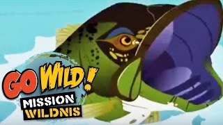 Go Wild Mission Wildnis  Ein Haus für eine Fledermaus Trailer  Folge 12 [upl. by Annoyk]