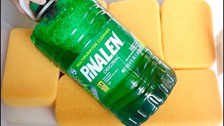 🌲 ASMR GALLON OF PINALEN 🌲 [upl. by Jamnes]