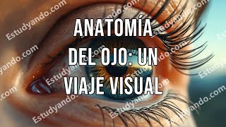 Anatomía del Ojo Un Viaje Visual [upl. by Niarbo]