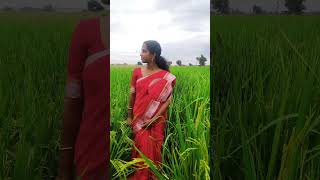 Yathrayayi sooryanguram malayalam song music [upl. by Lyndell]