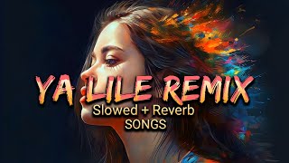 Ya Lile Remix Amr Mlih  Balti Ya Lili  Slowed Reverb Songs  Danish Rock Music [upl. by Jessamyn]