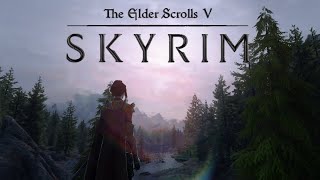 Cozy Skyrim Adventures  Elysium Remastered Mod List  Livestream [upl. by Melitta517]