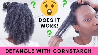 Cornstarch Natural Hair Mask  Easy Detangle Method naturalhairmask [upl. by Eissed]