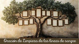 CORTE DE MISERICORDIA Oración de limpieza de las Lineas de Sangre [upl. by Jermyn]