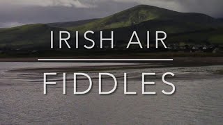 Irish air fiddle duet [upl. by Alvar212]