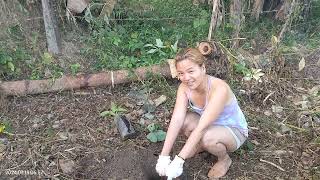 Planting Mangosteen san miguel bohol 2024 [upl. by Ettevad]