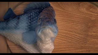 McDonalds FiletOFish Commercial 8K 60FPS [upl. by Aicenad]