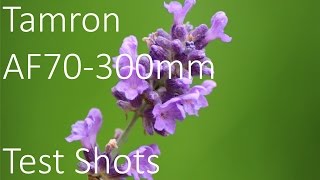 Tamron AF 70300m f456 Di LD Macro Lens Test Shots [upl. by Watanabe]