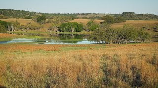 Looking After the Land [upl. by Lozano]