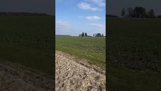 sondeln ww2 sonne feld acker sunshine metaldetecting field [upl. by Leshia]