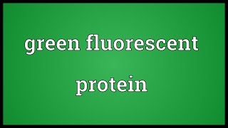 Green fluorescent protein Meaning [upl. by Hannej]