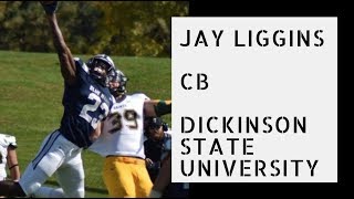 2019 NFL Draft Prospect Jay Liggins Highlights CB  Dickinson State [upl. by Liagiba251]