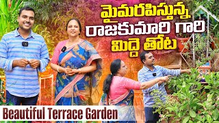 తప్పకుండా చూడాల్సిన మిద్దెతోట RajaKumari Terrace Garden [upl. by Eedissac]