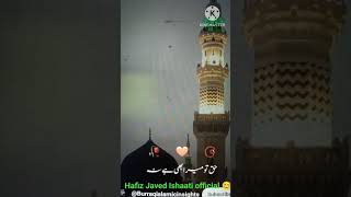 quot12RabiulAwwalKaWaqia  EideMilad Specialquot💫shortvideos rabiulawwal2024🤲statusvideoviralvid💫 [upl. by Rolan244]