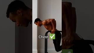 How to get a big chest and triceps with dips  Calisthenics [upl. by Aihtnic]