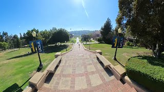 UCLA CAMPUS TOUR GO BRUINS FROM BRUIN WALK TO POWELL LIBRARY 360 CAMPUSTOURS COLLEGELIFE BRUINS [upl. by Suckram]