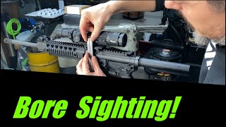 How to bore sight a AR rifle [upl. by Naval156]