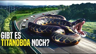 Die Größte Schlange der Erde Wurde von der Kamera Gefilmt Ist das eine Titanoboa [upl. by Eelaroc183]