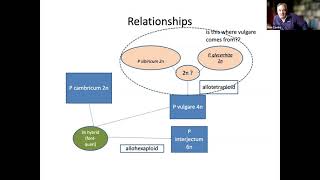 Polypody Ferns in the British Isles origins ecology distribution and identification  Rob Cooke [upl. by Lilah]