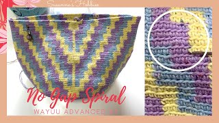 Crochet Wayuu Mochila Bag  Advanced Tips 07  Body smooth spiral without gaps [upl. by Dnamron607]