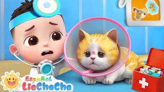 Canción del Gatito Enfermo  LiaChaCha en Español  Canciones Infantiles [upl. by Enahs]