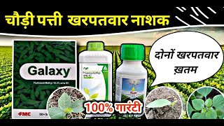 FMC GALAXY  सोयाबीन मे चौड़ी पत्ती खरपतवार नाशक  galaxy herbicide [upl. by Hank551]