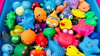 Sea Animals Zoo Animals Wild Animals Farm Animals Animals For Kids cute animals [upl. by Ytsrik]