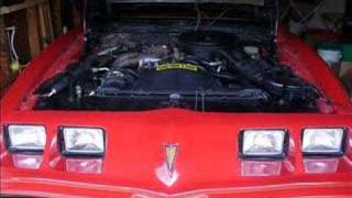 1981 Pontiac Trans Am For Sale By Owner [upl. by Gazzo594]