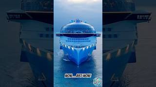 Such an INCREDIBLE Cruise Ship cruise oceanliner royalcaribbean [upl. by Stearns218]