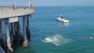 Junior Lifeguards Jump off Venice Pier [upl. by Eudora]