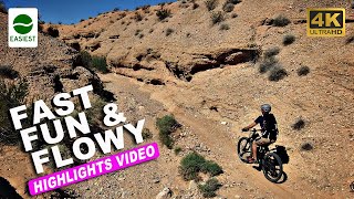 Ride this One Trail in Logandale NV  Jackrabbit Loop Trail  Best Easy Trails Highlights Video [upl. by Euqinad800]