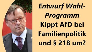 Programmkommission Verdrängen Liberale konservative Positionen zu Ehe Familie Lebensrecht [upl. by Newol497]