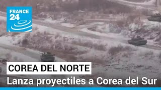 Corea del Norte lanzó más de 200 proyectiles cerca de Corea del Sur • FRANCE 24 Español [upl. by Connelly]