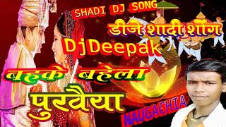 Bahke Bahela Purvaiya DJ Remix song dj deepak [upl. by Ruffina]