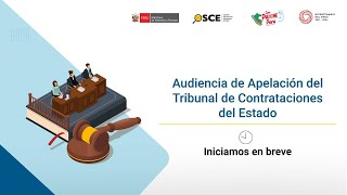 Audiencia de Apelación del Tribunal de Contrataciones del Estado S3 EXP 77172024TCE [upl. by Naujtna430]