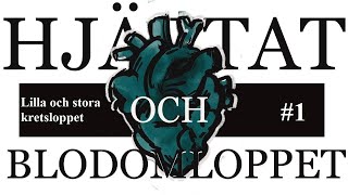 Åk 8 Blodomloppet del 1 Stora och lilla kretsloppet [upl. by Prebo483]