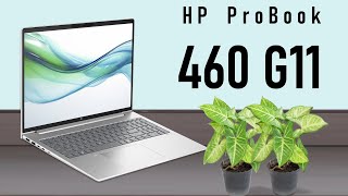 HP ProBook 460 G11 NoteBook new laptop 2024 Full Review [upl. by Ani655]