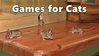 Cat Games  Mouse Watch TV  Mice for Cats to Catch 🐭 [upl. by Leksehc]