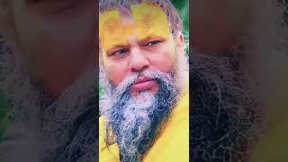 Premanand ji maharaj gurudev 🙏🙏vrindavan viral video premanandjimaharaj [upl. by Honorine886]