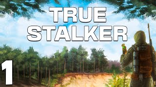 STALKER True Stalker 1 Настоящий Сталкер [upl. by Ydarb]